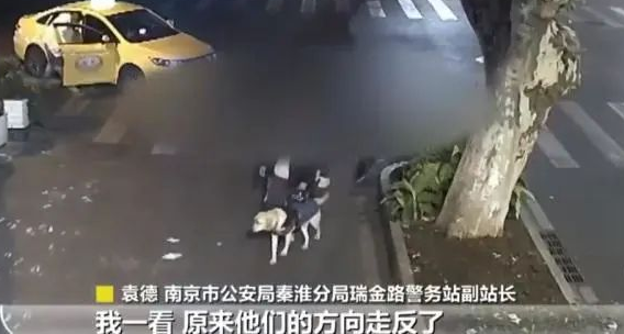 暖心一幕！导盲犬带主人吃火锅迷路，江苏民警护送五位视障人士