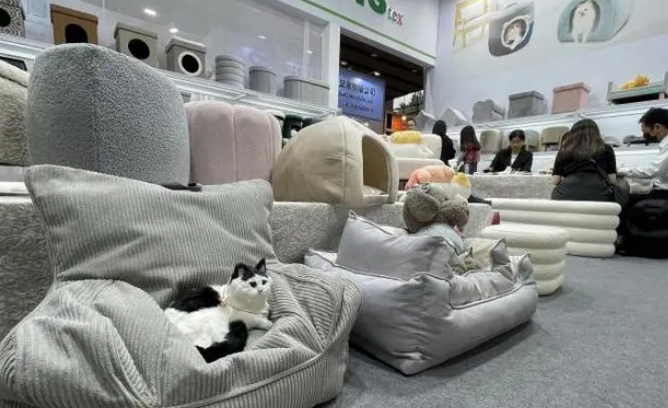 “它经济”持续升温 中国宠物产品品牌正崛起