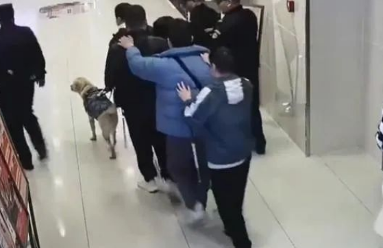 导盲犬带主人吃火锅迷路，结局很温暖！