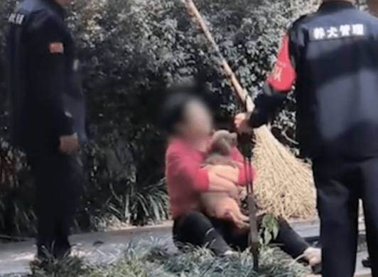 老太太遛狗时没拴绳，狗狗要被城管没收，她抱着狗狗坐在地上哭！ 