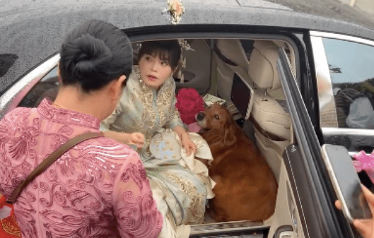 新娘坐上接亲的车，没想到狗狗跟着她跳上车，几个人都拉不下来！