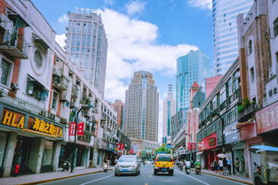 驾驭城市绿意，理解与应对——上海外牌车辆的限行政策大解析