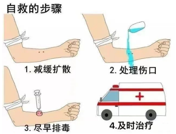 河源一条30斤重的看家狗被蟒蛇吞食！