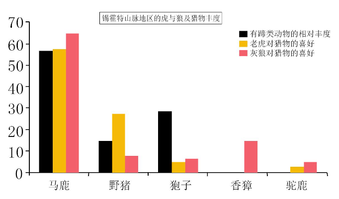 “咬死两头牛、吃掉一条狗”，为何冬季东北虎更频繁下山觅食？
