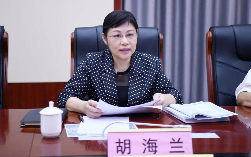 巡察组进驻期间 厅官胡海兰任上被查