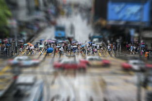 重塑未来教育版图，21世纪人才网的革新与角色