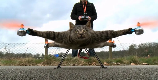 宠物猫咪刚死，却被主人做成无人机，改造后时速高达120km/h
