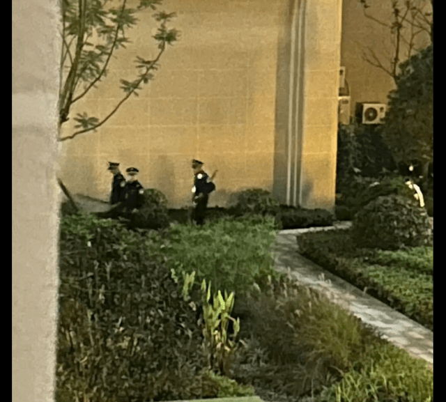 学校的流浪狗因举报被打死，被抓走前它还在网兜里笑，以为有家了