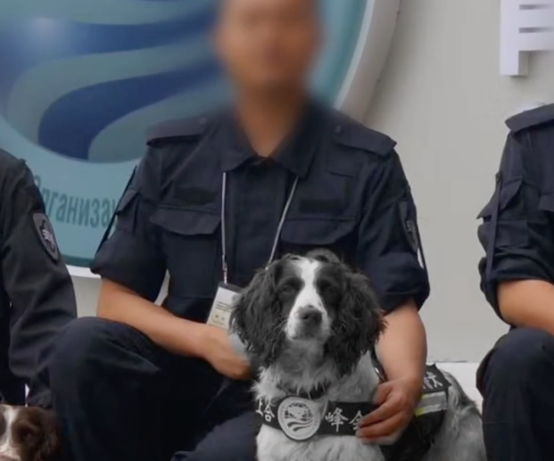 警官偶遇一只和去世警犬很像的狗，连名字都一样