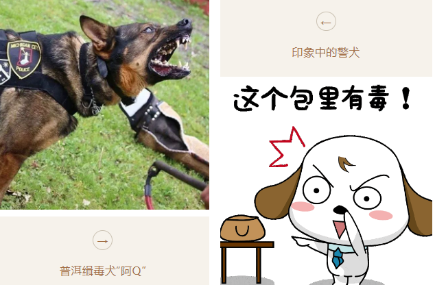 从普洱“阿Q”开始说说缉毒犬的故事，看到最后让人泪目