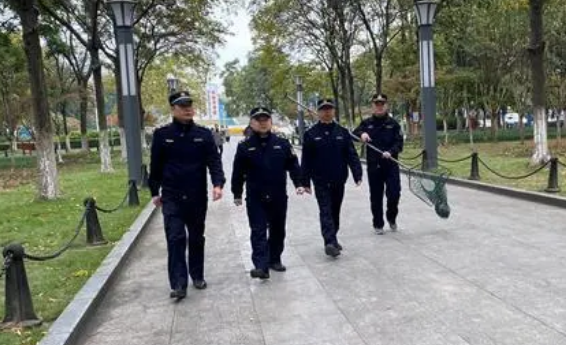 荆州城管部门专项整治流浪狗、遛狗不牵绳行为