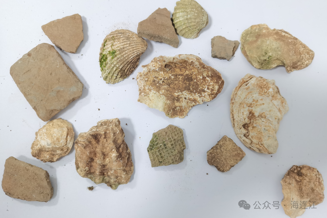 福建的“蓝色星辰”，就藏在这些遗址里……