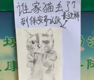 河北小区保安捡到一条猫，帮忙画猫寻主人，网友直呼：灵魂绘画！ 
