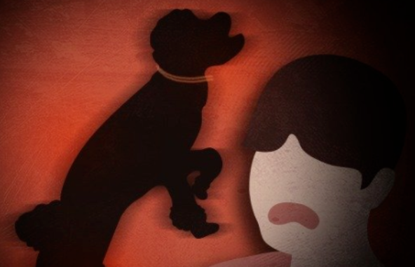 韩国惊现杀人犬！韩国女子被疯狗咬脖身亡，爱犬人士却呼吁狗没有错…