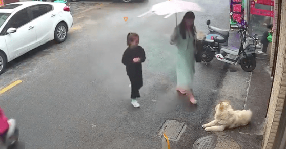 女士主动去摸路边的松狮犬，结果脸部被咬毁容！主人：会给予赔偿 