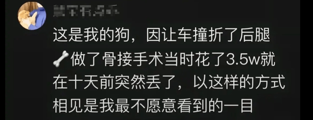 网友买的狗肉里有铁螺丝，主人看到泪崩：它生前做的手术，刚走丢