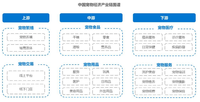 2022年中国宠物经济行业洞察报告