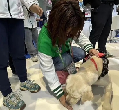 导盲犬在进博会羊奶粉展台“闹罢工”！