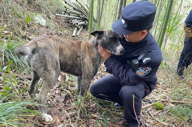 邻居家犬偷吃腊肉，民警“三级联调”化解纠纷