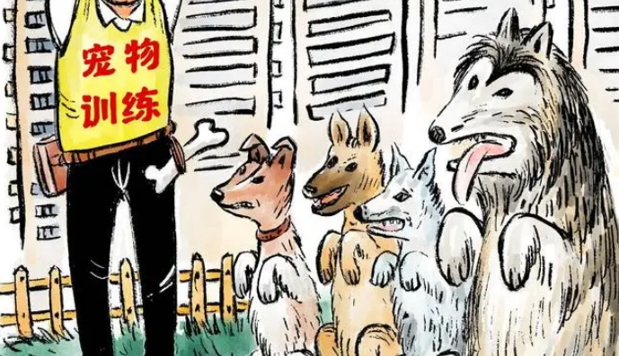 画说热点丨宠物训练