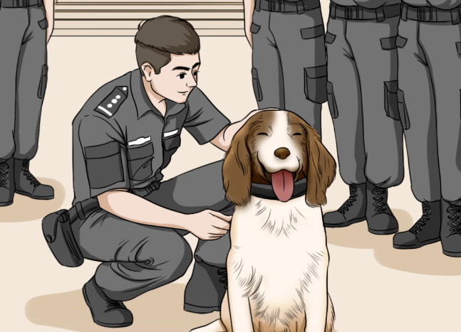 从普洱“阿Q”开始说说缉毒犬的故事，看到最后让人泪目
