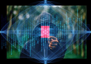 掌握未来，一触即达——深度解析北邮教务系统的魅力与实践