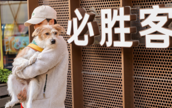 领养代替购买，必胜客关爱流浪动物在行动