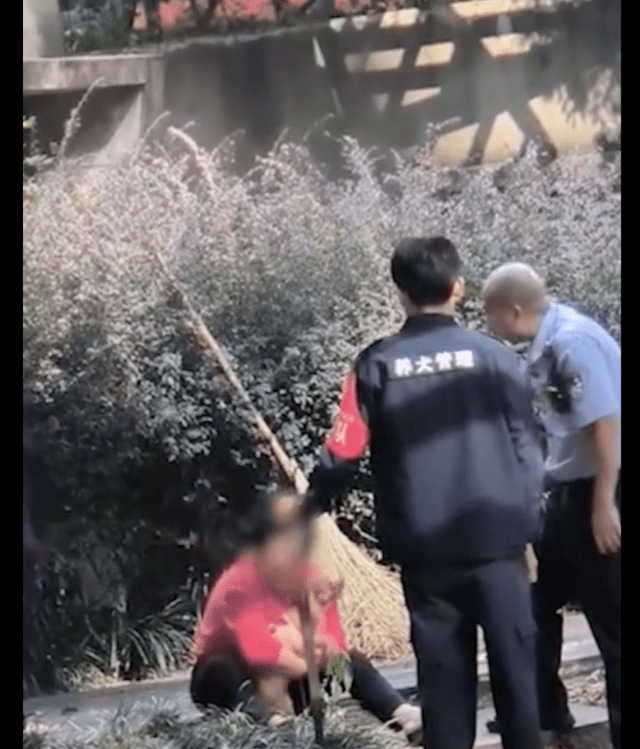 老太太遛狗时没拴绳，狗狗要被城管没收，她抱着狗狗坐在地上哭！ 