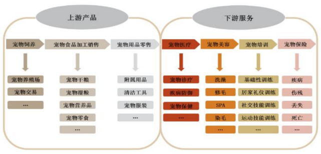 中国养狗比例达60% 养猫比例近40% 聊聊宠物经济发展的痛点与机遇
