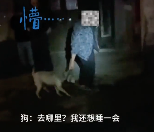 家里着火，看家狗呼呼大睡被消防拎出来，脸都熏黑了还没睡醒…