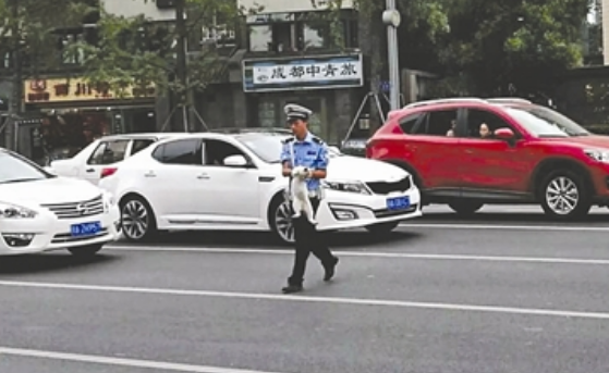 猫咪误入车流不知所措，暖男交警将其抱回路边