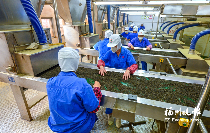 福州茉莉花茶窨制工艺有了“护身符” 省级地方标准通过审查