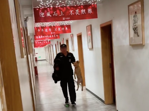 两只小狗跑进女生公寓里，被保安大叔给捉到拎了出来