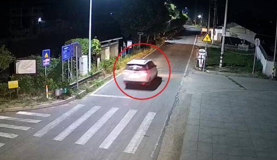 嚣张！男子组团深夜偷狗，警方：安排！ 
