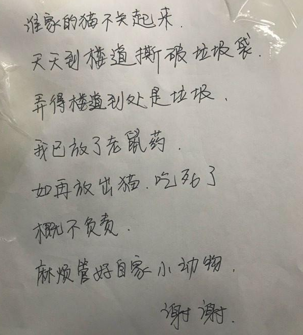 女孩每天在小区喂养流浪猫，却收到居民的一张字条，内容让人心寒