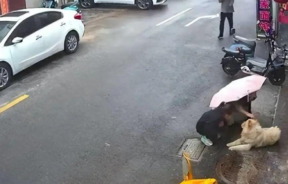 狗为什么总挑小孩来咬？如何有效避免被狗追咬？