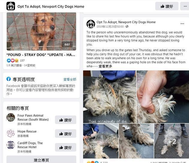 狗狗离世前几小时遭主人抛弃，义工泪崩：临终前它仍不忘寻找主人