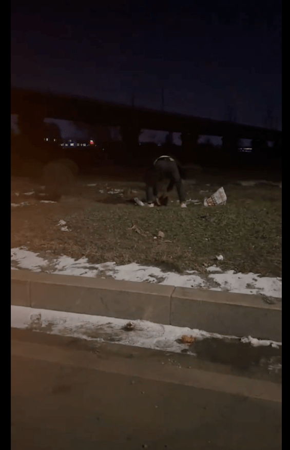 流浪狗出车祸后被扔路边，雪地里被冻得发抖，女生脱裤子给它保暖