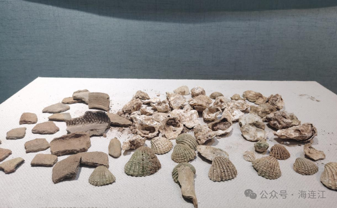 福建的“蓝色星辰”，就藏在这些遗址里……