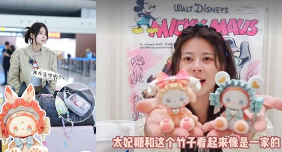 被女明星带火，单品年收入破亿！什么是“娃宠经济”？