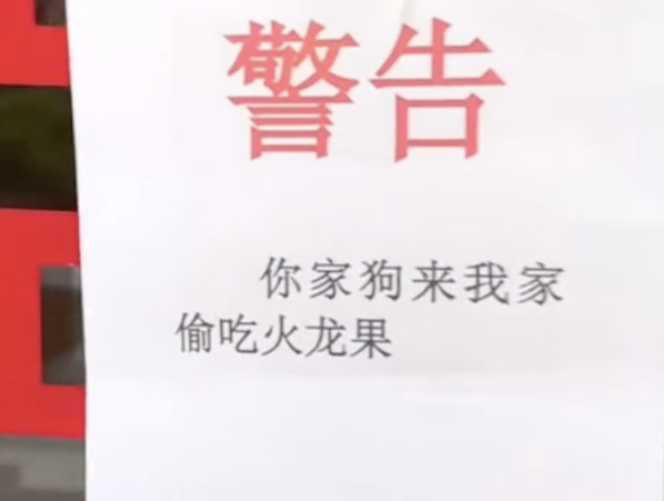 狗狗偷吃邻居家的火龙果，被对方挂在了门上，还拍下了证据证明！