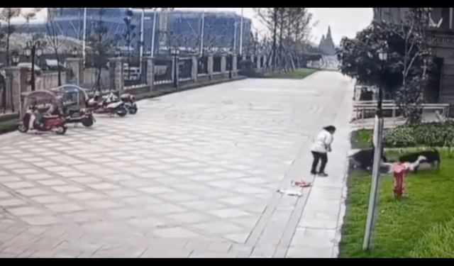 罗威纳犬小区里撕咬女童，主人迟迟未现身，血的教训还不断上演！