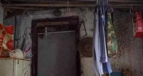  “啊？你这种条件还养什么猫？” 