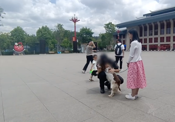 警官偶遇一只和去世警犬很像的狗，连名字都一样