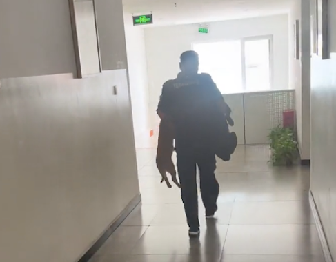 两只小狗跑进女生公寓里，被保安大叔给捉到拎了出来