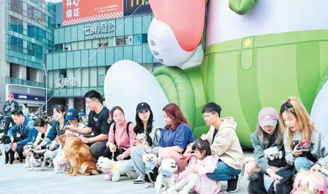 撸猫撸狗带火“它经济”