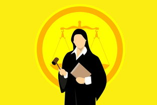 当法官用法不当，理解、应对与倡导正义