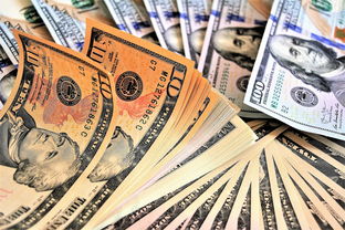 深度解析金六福金品50度，价格、品质与市场定位