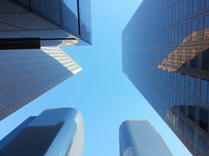 限购风云下的住房市场，深度解析与未来展望