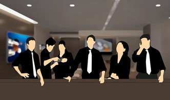 掌握生活艺术，全方位攻略全集